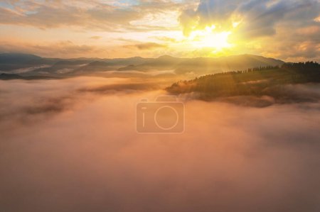 Téléchargez les photos : Paysage avec brouillard dans les montagnes et les rangées d'arbres - en image libre de droit