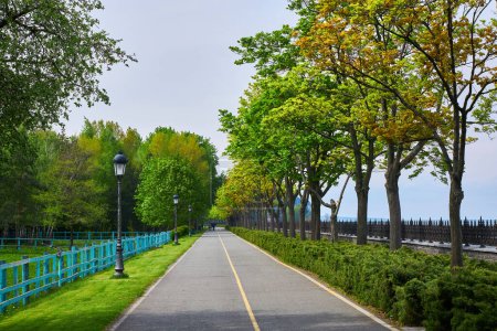 Eine kleine asphaltierte Straße, flankiert von saftig grünem Rasen und Bäumen, gebadet in der Wärme eines Sommertages. Ideal, um die Einfachheit und Schönheit eines sonnigen Tages im Freien einzufangen.