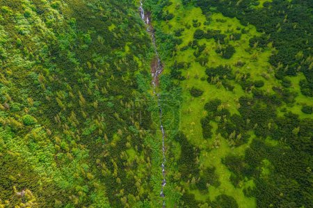 Téléchargez les photos : Un petit ruisseau qui coule du sommet des Carpates, vue générale depuis le drone. Montagnes d'été - en image libre de droit