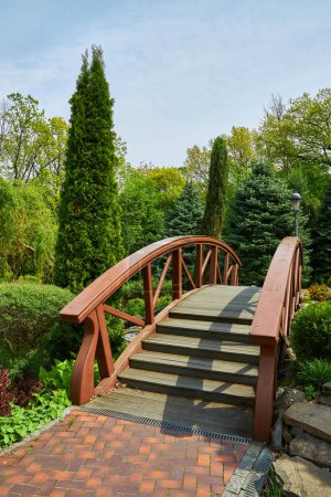 Eine ruhige Parkszene mit üppigen Bäumen, einem mäandernden Bach und einer charmanten Brücke. Sich sonnen im Tageslicht eines Sommernachmittags. Ideal für die Vermittlung der Essenz der Natur und Entspannung
