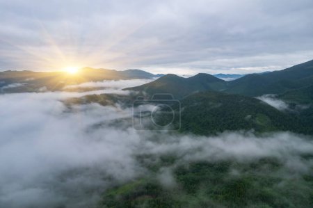 Photo for Fog envelops the mountain forest. The rays of the rising sun break through the fog. Aerial drone view. - Royalty Free Image