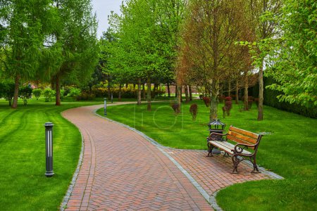 Un sendero sinuoso en el parque con un banco cercano, rodeado por un exuberante césped verde, creando un espacio al aire libre tranquilo y acogedor