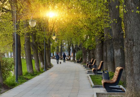 Die längste in Europa Lindenallee in Uzhhorod Stadt. Zartes grünes Laub des frühen Frühlings. Ukraine, Europa