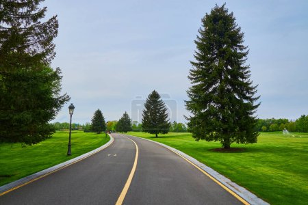 A small asphalt road flanked by a lush green lawn and trees, bathed in the warmth of a summer day. Ideal for capturing the simplicity and beauty of a sunny day outdoors.