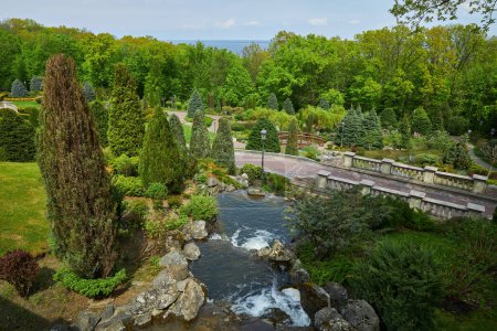 A serene park scene with lush trees, a meandering stream, and a charming bridge. Bask in the daylight of a summer afternoon. Ideal for conveying the essence of nature and relaxation
