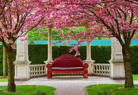 Téléchargez les photos : Une journée de printemps dans le parc Sakura, avec un grand canapé en cuir sous un belvédère, créant une retraite élégante et confortable au milieu de fleurs de cerisiers en fleurs. - en image libre de droit
