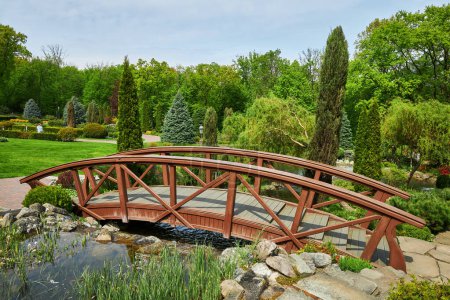 Téléchargez les photos : Pont en bois dans un parc. Parc d'été avec pont. Paysage du parc d'été - en image libre de droit