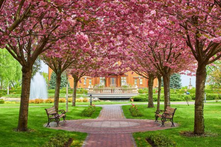 Photo for Park with alley of blossoming red apple trees. Spring landscape - Royalty Free Image