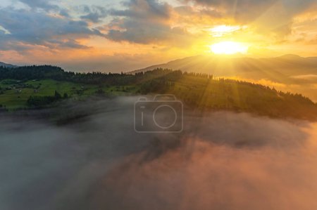 Photo for Mountains in clouds at sunrise in summer. Aerial view of mountain peak with green trees in fog. Beautiful landscape with high rocks, forest, sky. Top view from drone of mountain valley in low clouds - Royalty Free Image