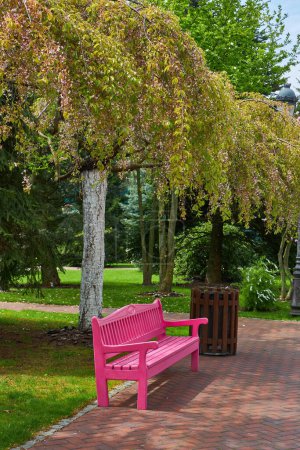 Capture la tranquilidad de un oasis de parque con un sendero sinuoso, un banco rosado enclavado en medio de la vegetación y un exuberante césped abierto, un refugio perfecto para la relajación.