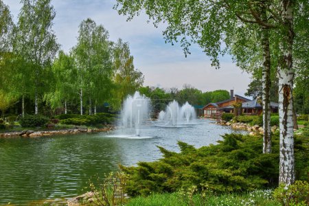 A serene park scene with lush trees, a meandering stream, and a charming bridge. Bask in the daylight of a summer afternoon. Ideal for conveying the essence of nature and relaxation