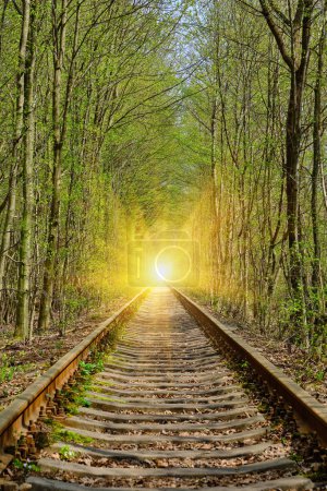 Ukraine. Spring. Railway in the dense deciduous forest. Tunnel Of Love
