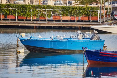 Foto de Bari town skyline and fishing boats - harbor in Apulia region, Italy. - Imagen libre de derechos