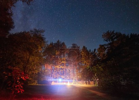 Foto de Una noche acogedora junto a la fogata en el borde del bosque, con el cielo estrellado de la noche por encima. Perfecto para sus diseños de camping o aventura al aire libre - Imagen libre de derechos