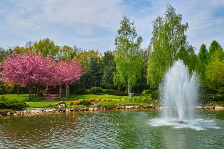 Téléchargez les photos : Une scène de parc sereine avec des arbres luxuriants, un ruisseau sinueux et un charmant pont. Masquer à la lumière du jour d'un après-midi d'été. Idéal pour transmettre l'essence de la nature et de détente - en image libre de droit