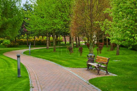Ein gewundener Pfad im Park mit einer Bank in der Nähe, umgeben von einem saftig grünen Rasen, der einen ruhigen und einladenden Außenbereich schafft