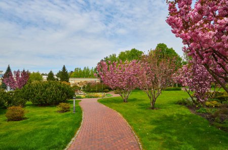 Photo for Park with alley of blossoming red apple trees. Spring landscape - Royalty Free Image