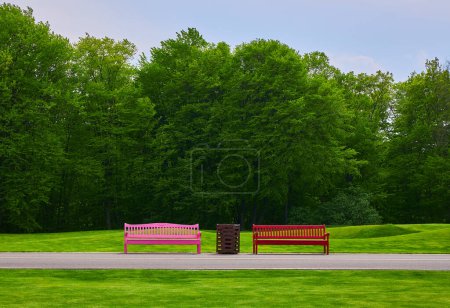 Capturez la tranquillité d'une oasis de parc avec un sentier sinueux, un banc rose niché au milieu de la verdure et une pelouse luxuriante et ouverte une retraite parfaite pour la détente