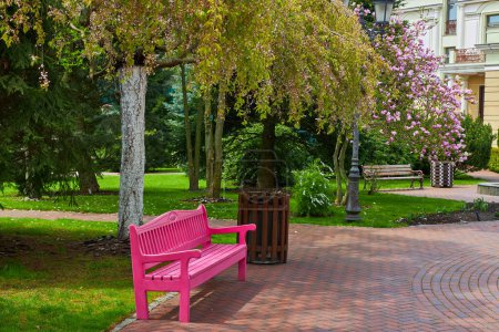 Une scène de parc avec un sentier sinueux, un banc rose et une pelouse verte luxuriante, créant un endroit charmant et dynamique pour la détente et le plaisir