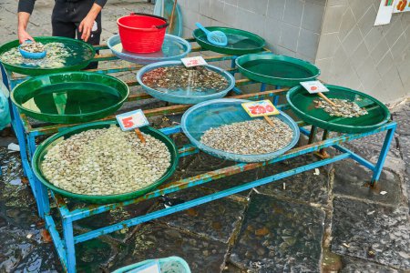Téléchargez les photos : Moules fraîches sur le marché piscicole prêtes à la vente et utilisées comme ingrédients. Marché à Palerme, Italie - en image libre de droit