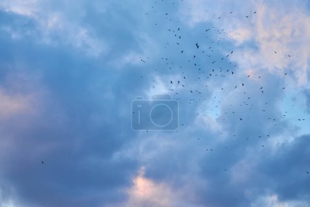 Téléchargez les photos : Nuage et ciel bleu dans la belle journée - en image libre de droit