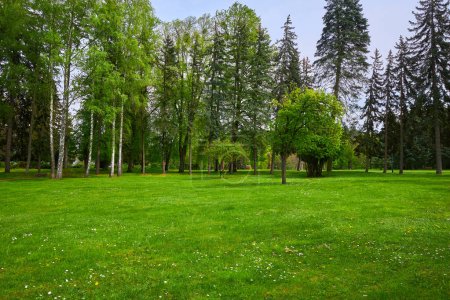 Foto de Vista panorámica de un hermoso jardín paisajístico con un césped de hierba recién cortada y árboles frondosos verdes - Imagen libre de derechos