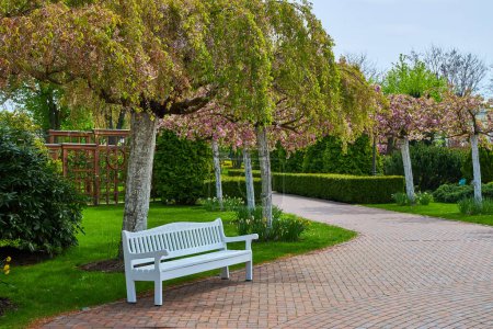 Capture la tranquilidad de un oasis de parque con un sendero sinuoso, un banco blanco enclavado en medio de la vegetación y un exuberante césped abierto, un refugio perfecto para la relajación