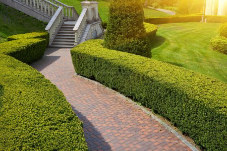Trimmed green bushes form a labyrinth along tiled pathways in the park, creating a serene and maze-like atmosphere. A perfect summer day unfolds in this beautifully landscaped outdoor space.