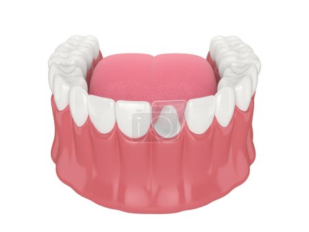 Foto de 3d renderizado de mandíbula inferior con poste dental y restauración del diente central sobre fondo blanco - Imagen libre de derechos