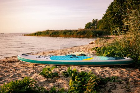 Foto de Sup paddle board en la costa del lago al atardecer - Imagen libre de derechos