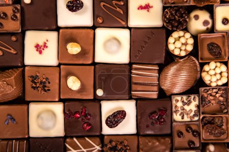 Photo for Assortment of fine chocolate candies, white, dark and milk chocolate - Royalty Free Image