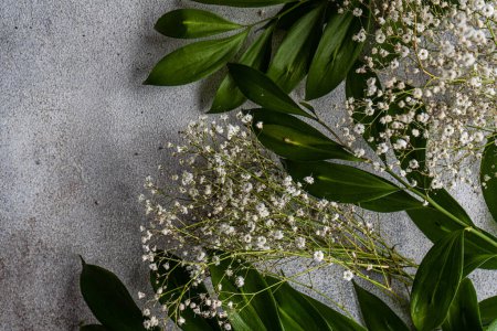 Spring nature flat lay with white Gypsophila flowers and green leaves of Ruscus plant