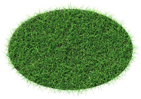 Foto de Grass shape - design element isolated - 3d rendering - Imagen libre de derechos