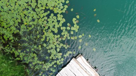 Téléchargez les photos : Masse en bois sur l'eau du lac vue aérienne - en image libre de droit