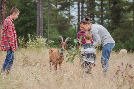 Foto de Niños en el campo rural jugando con cabras de granja. Foto de alta calidad - Imagen libre de derechos
