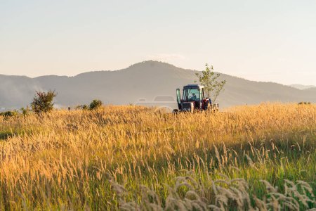 Foto de Tractor verde arando campo de cereales con cielo con nubes. Foto de alta calidad - Imagen libre de derechos