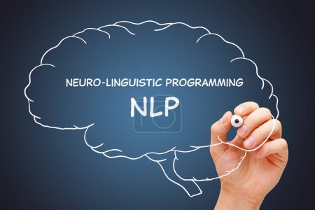 Handschrift Neuro-Linguistic Programming NLP auf gezeichnetem menschlichen Gehirn mit weißem Marker auf transparentem Wischbrett.