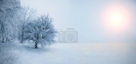 Horizontales Winterpanorama von schneebedecktem Feld und Baum bei tiefstehender Sonne