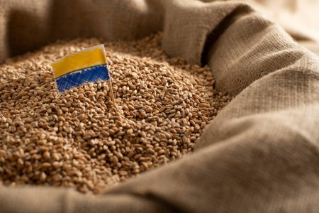 Burlap sack with wheat grains and Ukrainian flag concept
