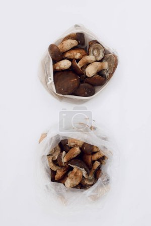 Photo for Polish mushroom from local market in reusable shopping bag over light background. Copy space. Top view. Organic food, edible fresh picked. Plastic Pollution, Ethical Consumerism, Healthy Eating concept. - Royalty Free Image