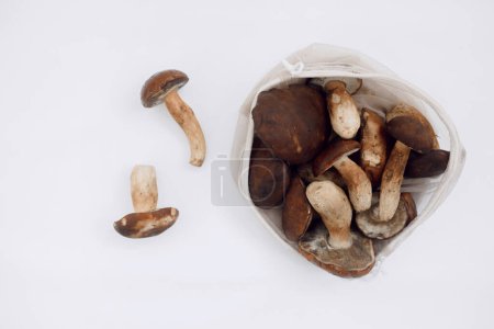 Photo for Polish mushroom from local market in reusable shopping bag over light background. Copy space. Top view. Organic food, edible fresh picked. Plastic Pollution, Ethical Consumerism, Healthy Eating concept. - Royalty Free Image