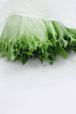 Photo for Raw lettuce from local market in plastic shopping bag over light background. Copy space. Top view. Organic food, edible fresh picked. Plastic Pollution, Ethical Consumerism, Healthy Eating concept. - Royalty Free Image