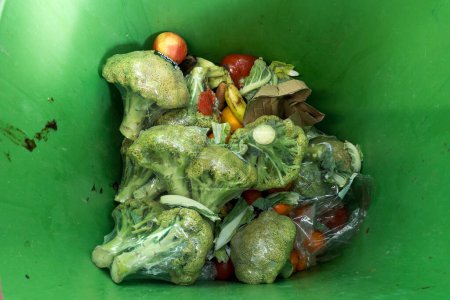 Foto de Vista superior de cubo de basura con de brócoli podrido en envases de plástico. - Imagen libre de derechos