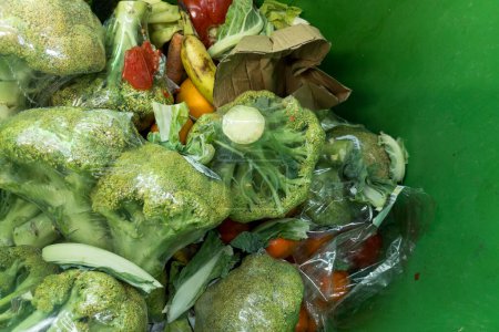 Photo for Top view of garbage can with of rotting broccoli in plastic packaging. - Royalty Free Image