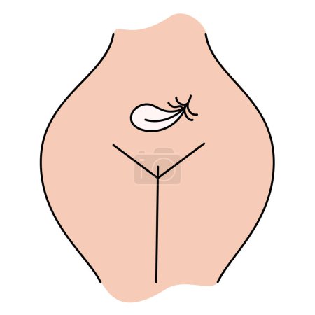 Illustration for Female body and women's hygiene and health concept. Menopause, Urinary incontinence, Gynecology and care for women's sexual health. Maternity and pregnancy sign. Illustration in cartoon style. - Royalty Free Image