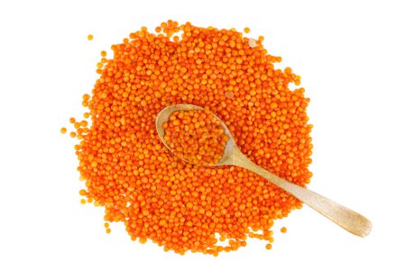 Photo for Pile of red lentils and wooden spoon on white background - Royalty Free Image