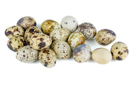 Téléchargez les photos : Des œufs de caille sur fond blanc - en image libre de droit