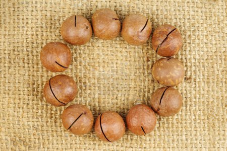 Foto de Nueces de macadamia sin cáscara sobre fondo de yute - Imagen libre de derechos