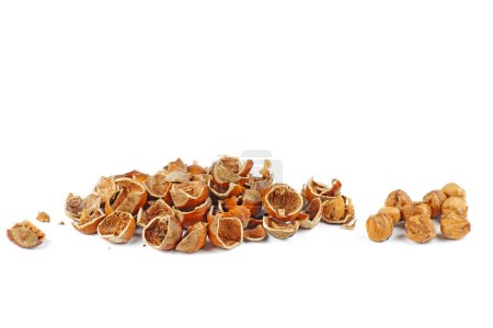 Photo for Pile of hazelnut husks and kernels isolated on white background - Royalty Free Image