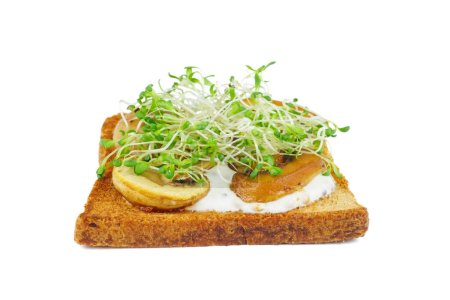 Téléchargez les photos : Germes de luzerne verte, champignons portabello grillés sur tranches grillées de pain complet sur fond blanc - en image libre de droit